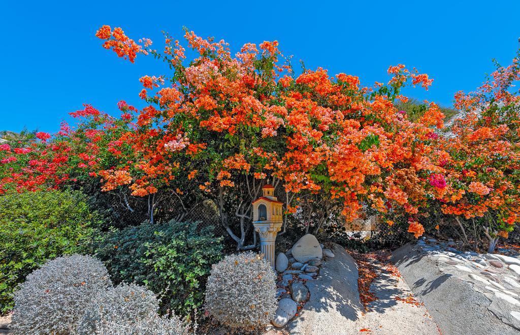 Adamou Gardens Apartment Paphos Luaran gambar